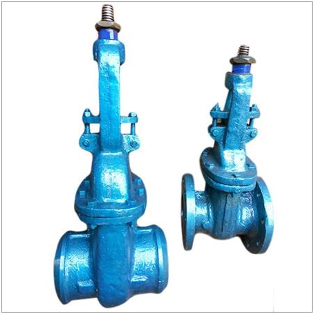 Cast Steel Gate Valve